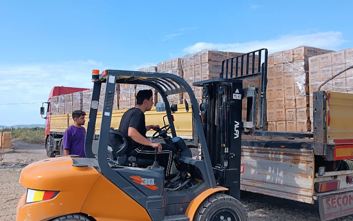 IT-Lösungen für Logistik & Spedition