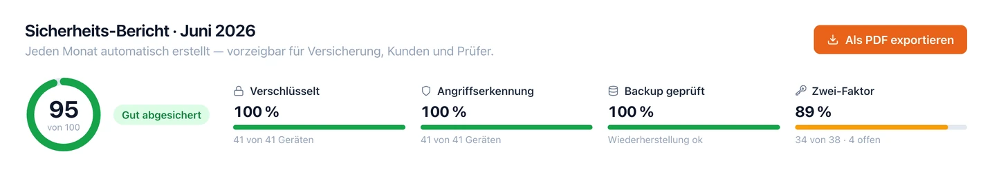Kjello-Portal, monatlicher Sicherheits-Bericht: Gesamtwert 95 von 100 („Gut abgesichert